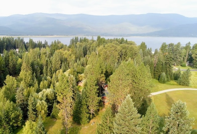 birds eye view of property with a water and mountain view