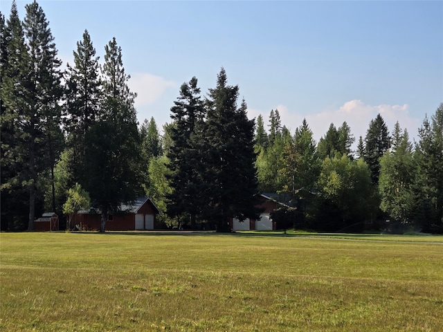 view of yard featuring a storage shed