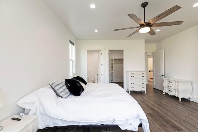 bedroom featuring recessed lighting, a walk in closet, dark wood-type flooring, and a ceiling fan