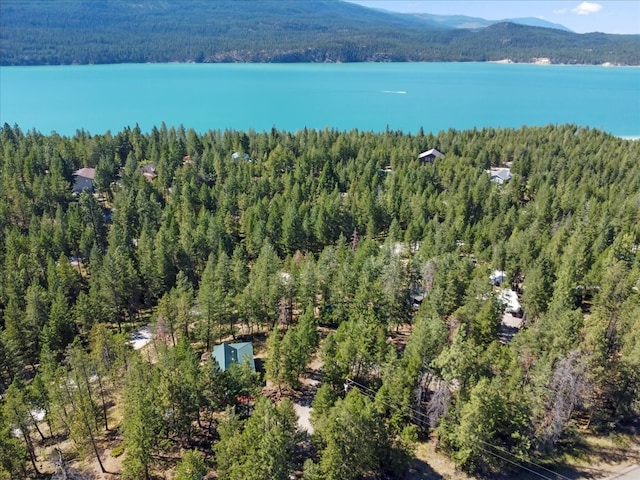 bird's eye view featuring a mountain view