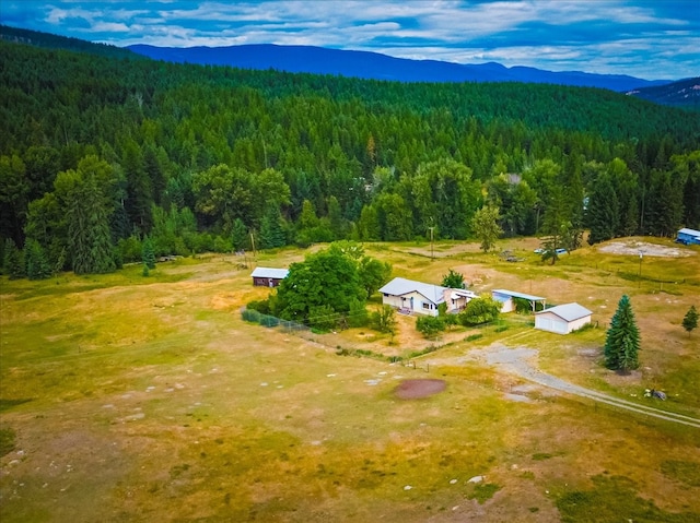 birds eye view of property featuring a mountain view