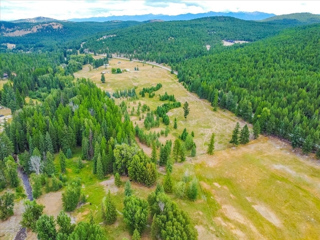 aerial view with a mountain view