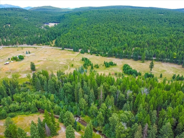 bird's eye view with a mountain view