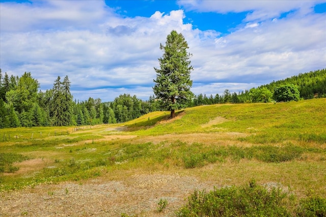 view of local wilderness