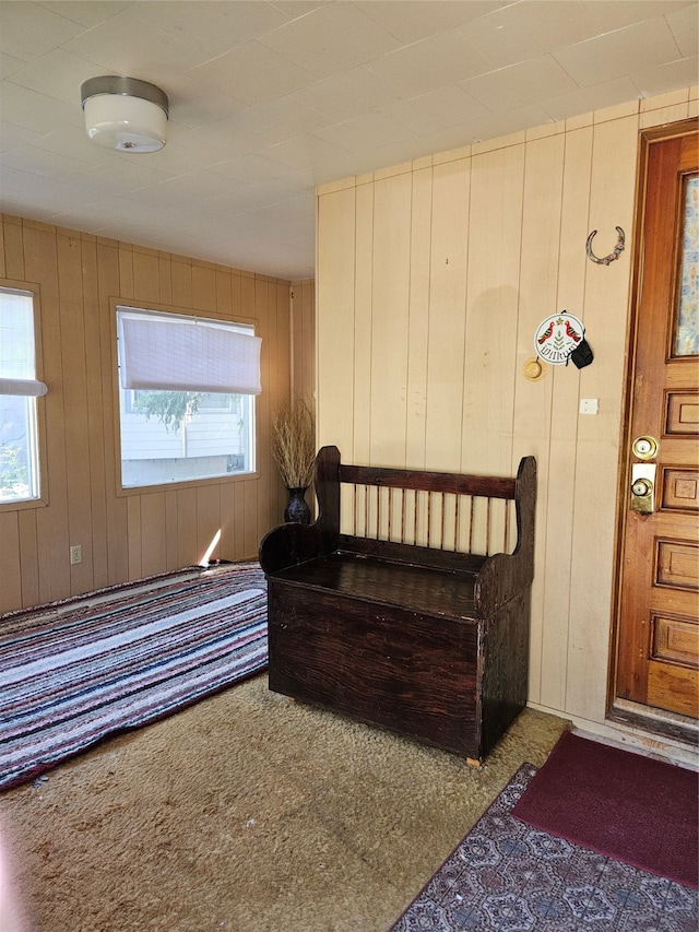 bedroom featuring carpet flooring, wooden walls, and multiple windows