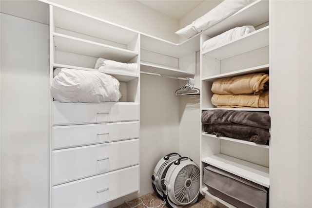 view of spacious closet