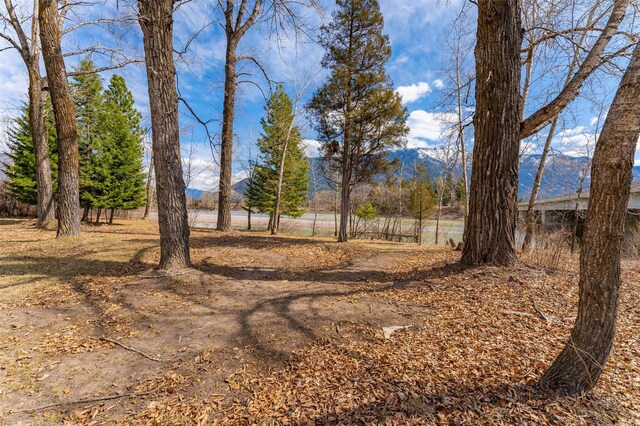 659 US Highway 2 E, Columbia Falls, MT 59912 - view of yard