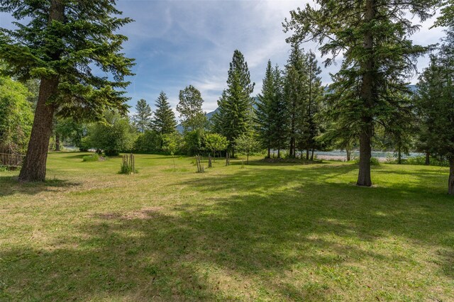 659 US Highway 2 E, Columbia Falls, MT 59912 - view of yard