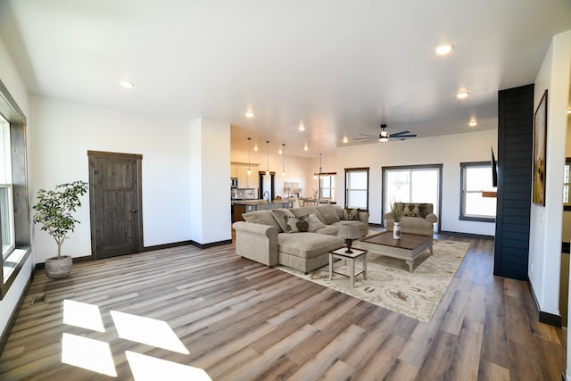 living room with wood-type flooring and ceiling fan