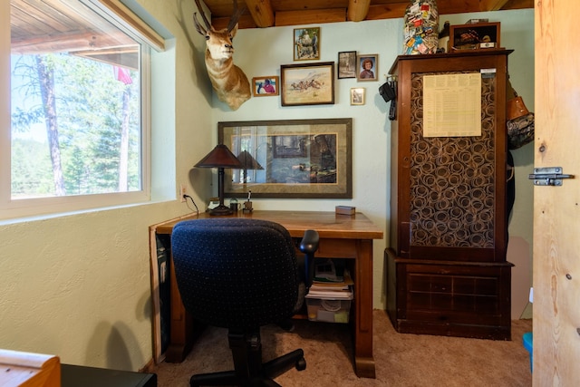 office area with carpet flooring