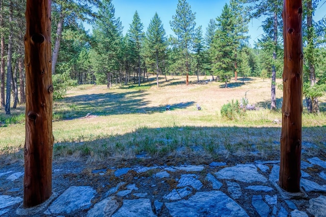 5899 Black Lake Rd, Rexford, MT 59930 - view of yard