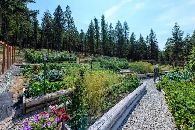 5899 Black Lake Rd, Rexford, MT 59930 - view of yard featuring fence, a wooded view, and a vegetable garden