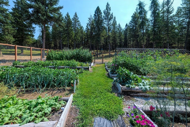 5899 Black Lake Rd, Rexford, MT 59930 - view of yard featuring a vegetable garden, a forest view, and fence