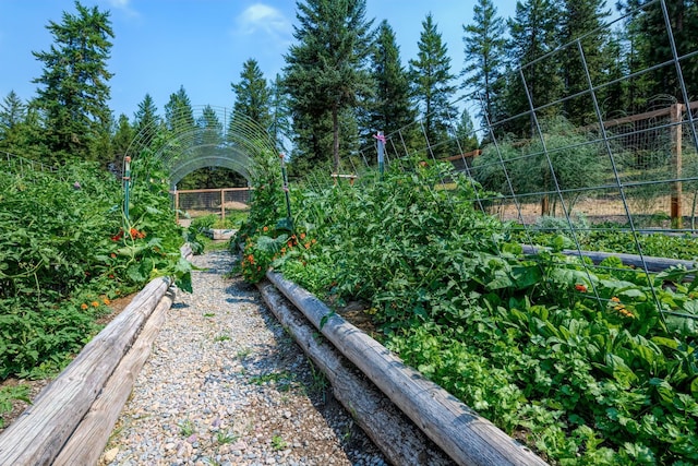 5899 Black Lake Rd, Rexford, MT 59930 - view of yard with a garden