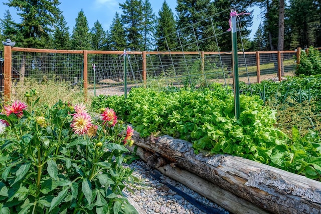 5899 Black Lake Rd, Rexford, MT 59930 - view of yard featuring fence