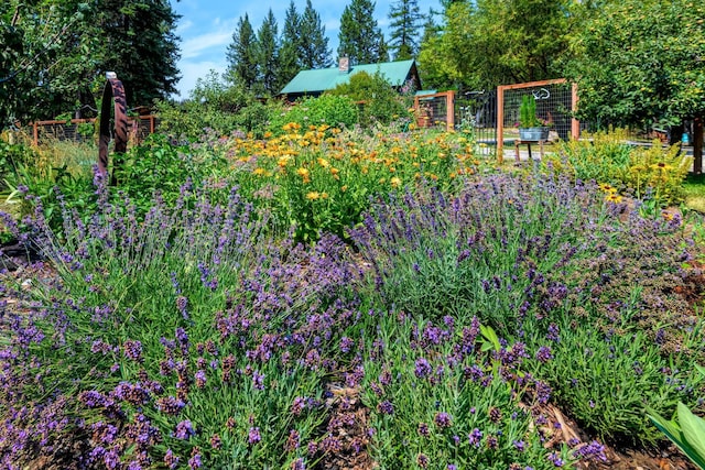 5899 Black Lake Rd, Rexford, MT 59930 - view of yard featuring a garden