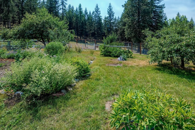 view of yard with a rural view