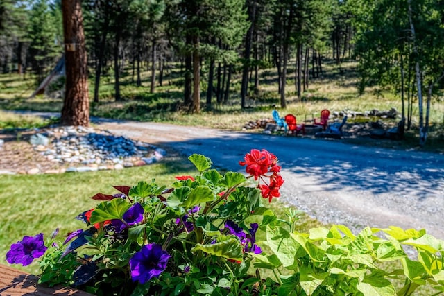 5899 Black Lake Rd, Rexford, MT 59930 - view of pool