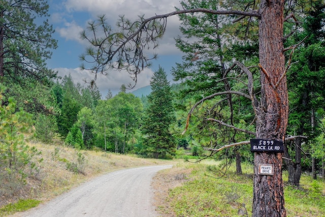 5899 Black Lake Rd, Rexford, MT 59930 - view of street with a wooded view
