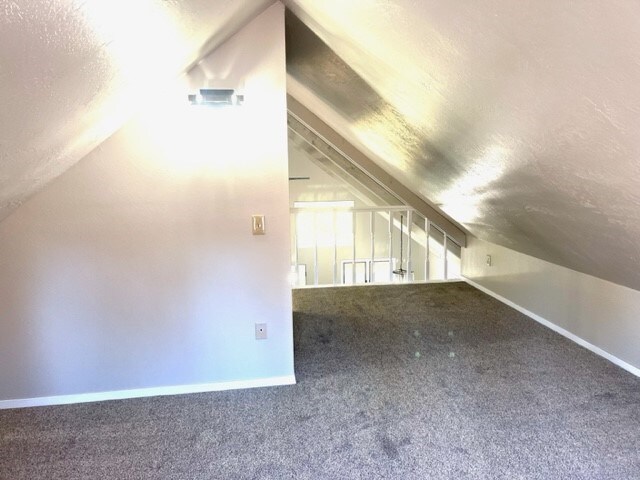 additional living space with lofted ceiling, carpet flooring, and a textured ceiling