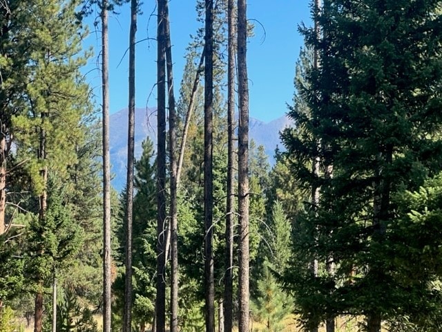 view of nature with a mountain view