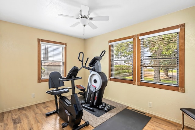 exercise area featuring ceiling fan and light hardwood / wood-style floors