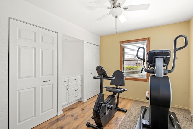 exercise area featuring ceiling fan and light hardwood / wood-style floors