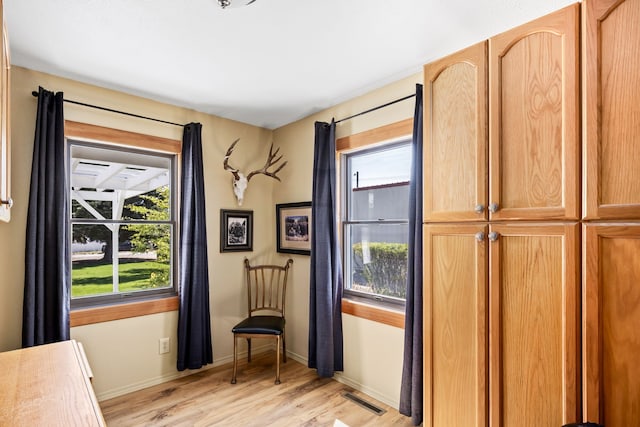 doorway to outside featuring light hardwood / wood-style flooring