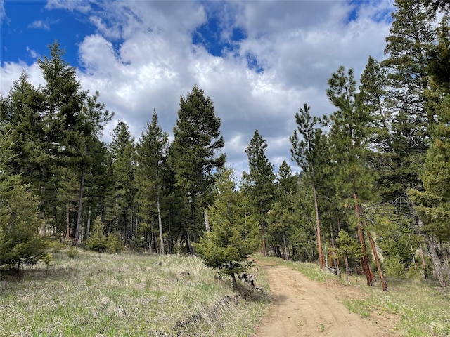 TRACT2B Grizzly Gulch Dr, Helena MT, 59601 land for sale