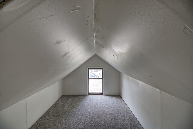 additional living space featuring vaulted ceiling, a textured ceiling, and carpet flooring