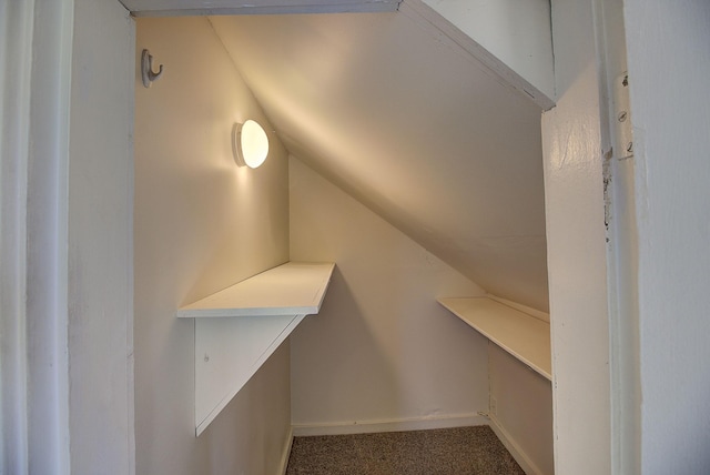 walk in closet featuring lofted ceiling and carpet floors