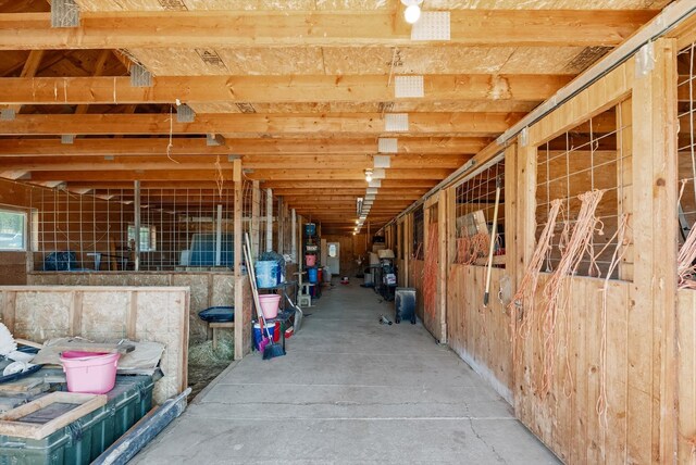 view of horse barn