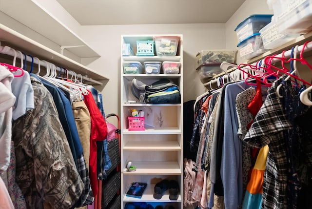 view of walk in closet