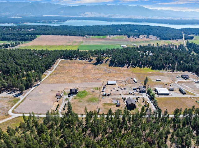 bird's eye view featuring a mountain view