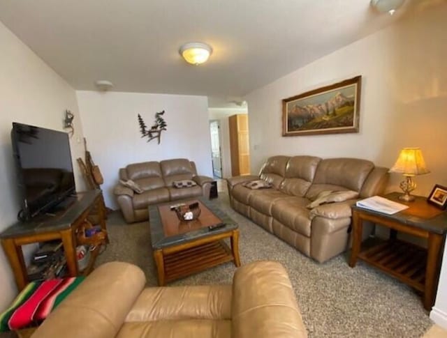 4 Lake Dr, Heron, MT 59844 - living area with carpet flooring