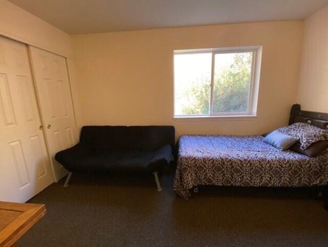 4 Lake Dr, Heron, MT 59844 - bedroom with carpet flooring and a closet