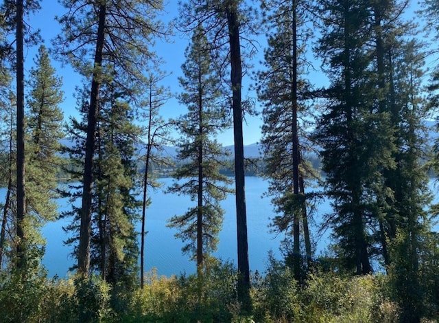 4 Lake Dr, Heron, MT 59844 - exterior view of a forest view