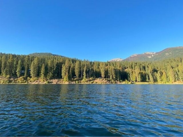 4 Lake Dr, Heron, MT 59844 - water view featuring a heavily wooded area and mountains