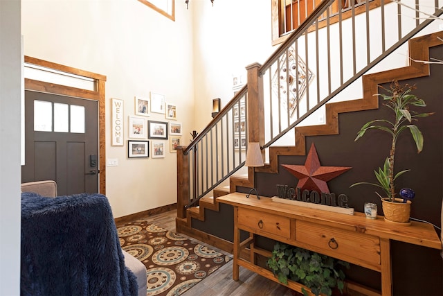 foyer entrance featuring a high ceiling and hardwood / wood-style floors