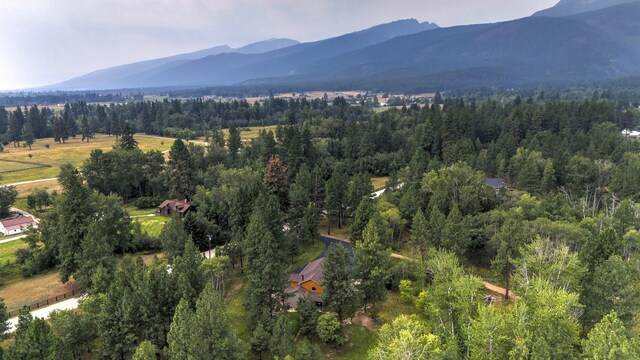 bird's eye view with a mountain view