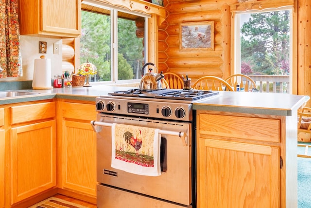 kitchen featuring stainless steel range with gas cooktop, log walls, and a healthy amount of sunlight