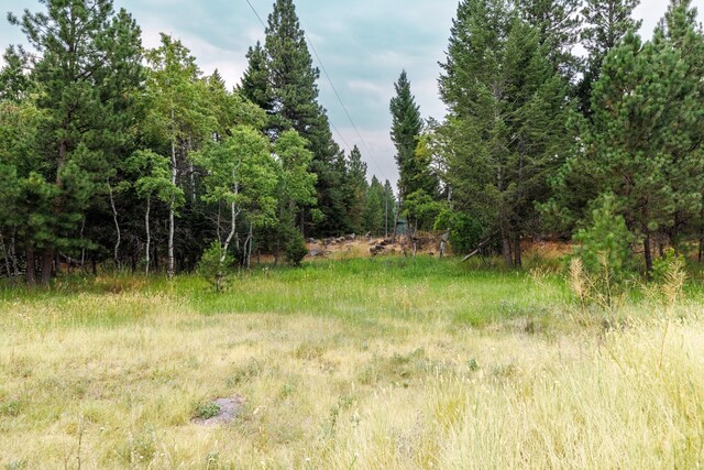 view of landscape