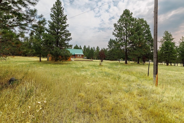 view of yard featuring a rural view
