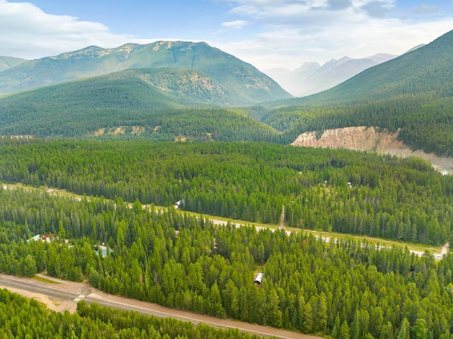 view of mountain feature