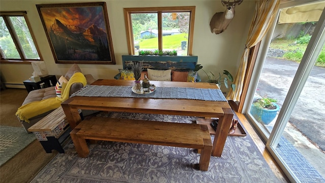 202 Lakeshore Dr, Kalispell, MT 59901 - dining space with a baseboard heating unit