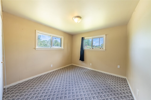 unfurnished room featuring a wealth of natural light and carpet flooring