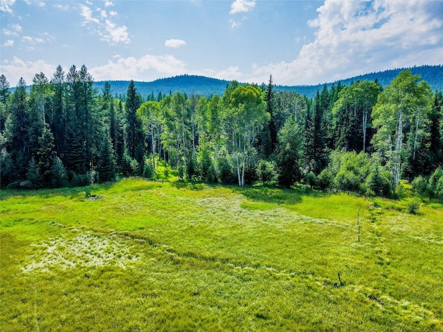 bird's eye view with a mountain view and a view of trees