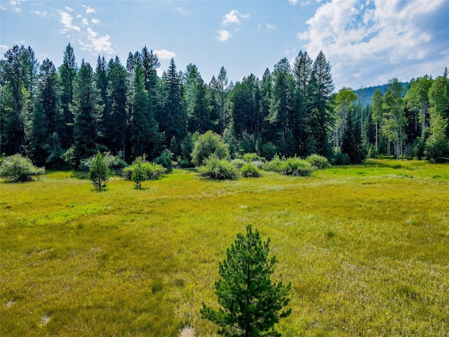 view of mountain feature featuring a wooded view