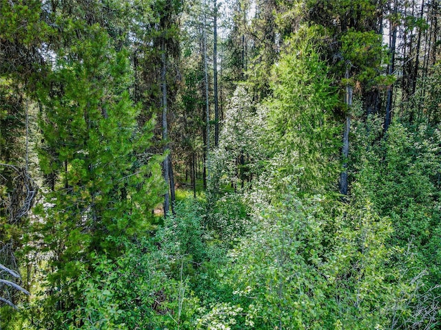 view of mountain feature with a view of trees