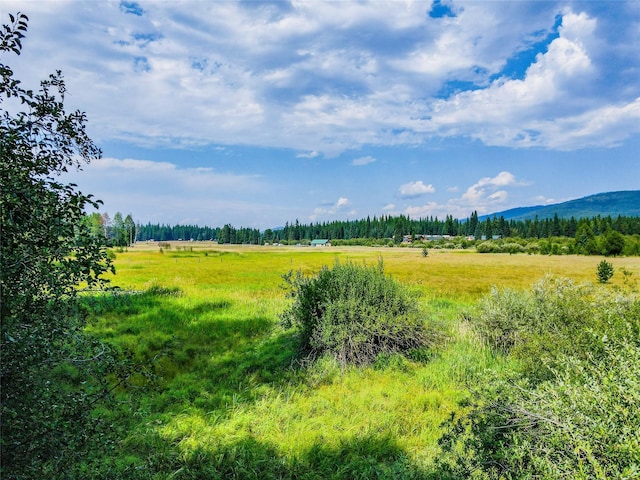 view of local wilderness with a wooded view